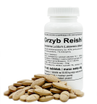 Grzyby Reishi - ekstrakt tabletki