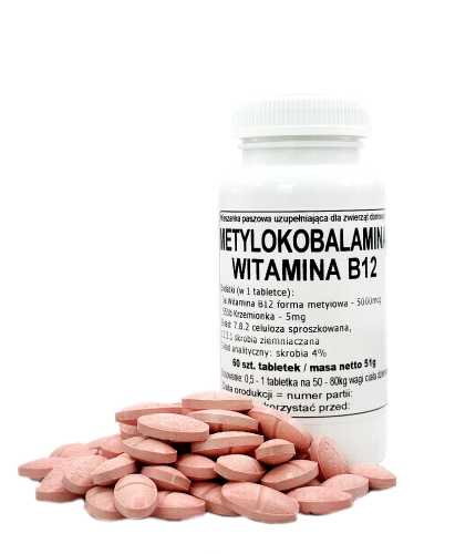 Witamina B12 - Metylokobalamina - tabletki 5000mcg