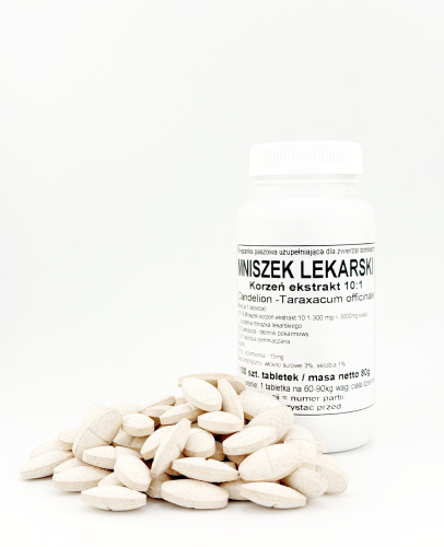 Mniszek lekarski korzeń ekstrakt 10:1 - tabletki 300 mg